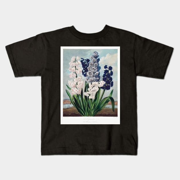 Hyacinths Kids T-Shirt by Cleopsys